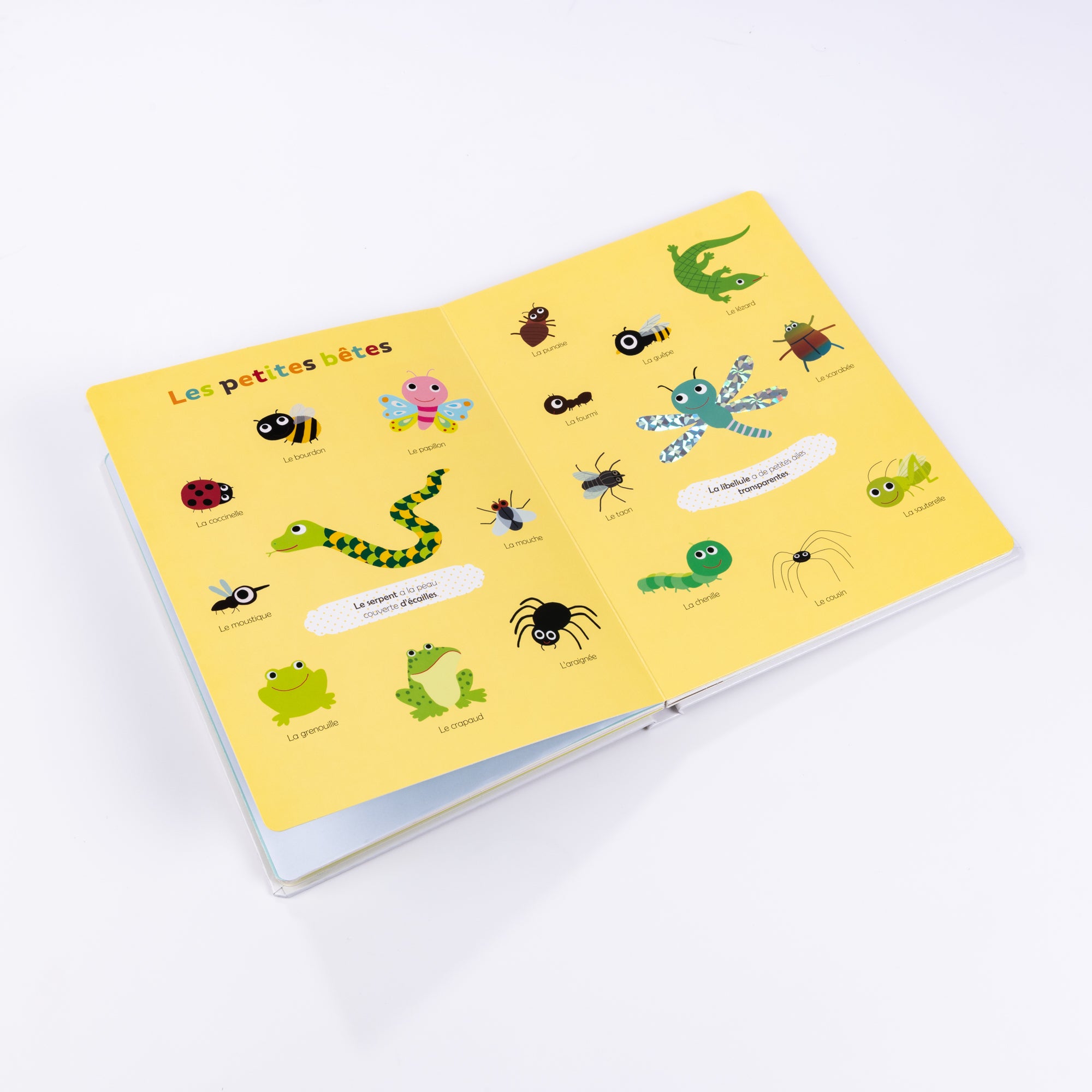 Livre "Ma nature à découvrir et à toucher"