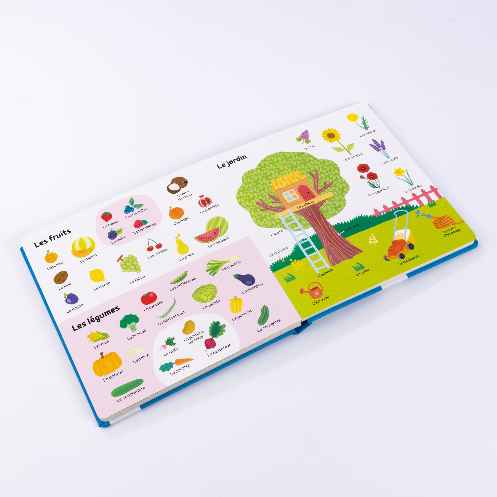 Livre "Mes 500 tout Premiers Mots"