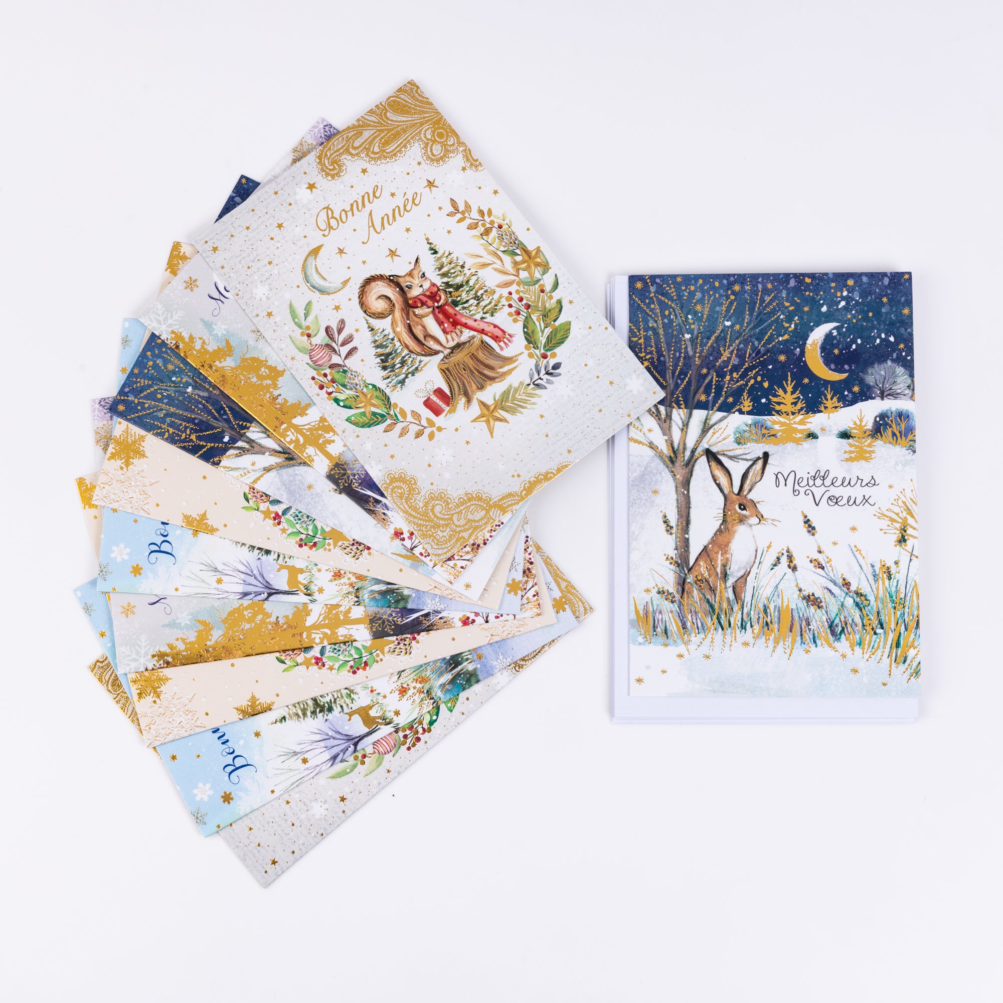 Cartes de Vœux - Noël de notre Enfance