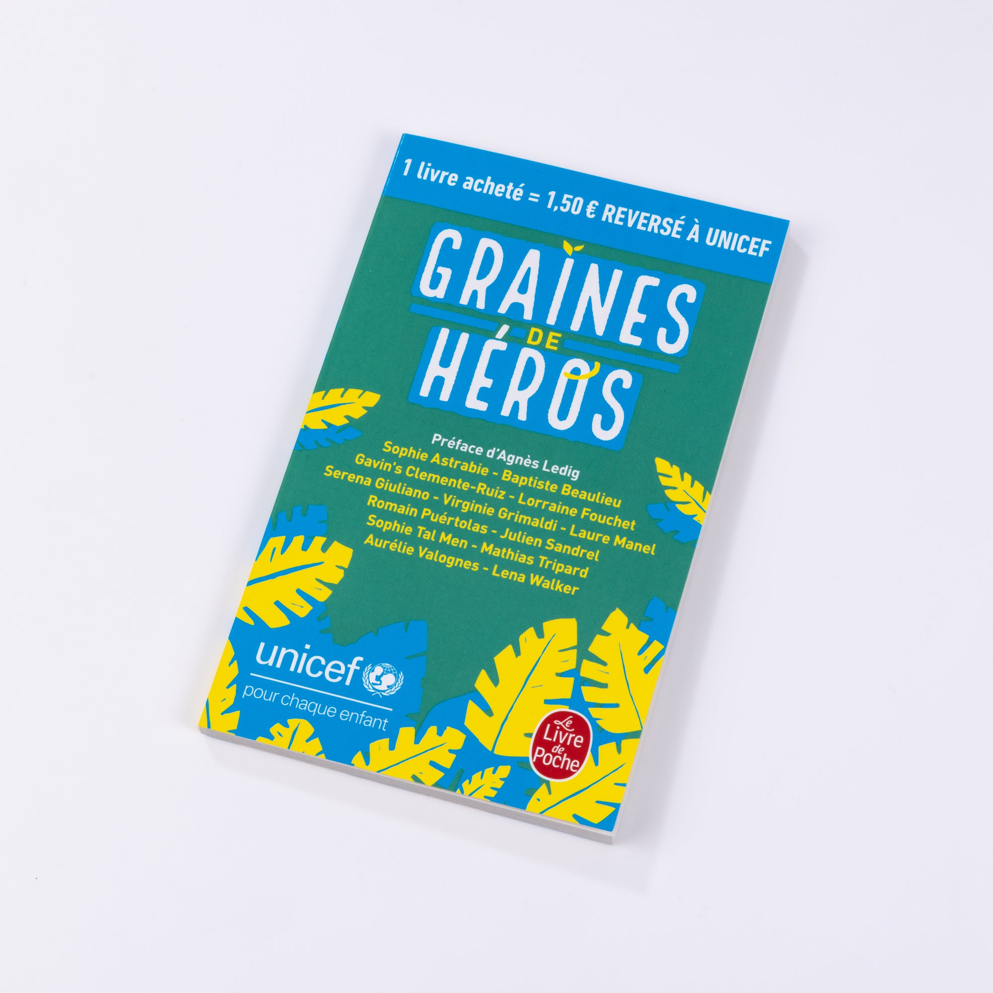 Recueil de Nouvelles "Graines de Héros"