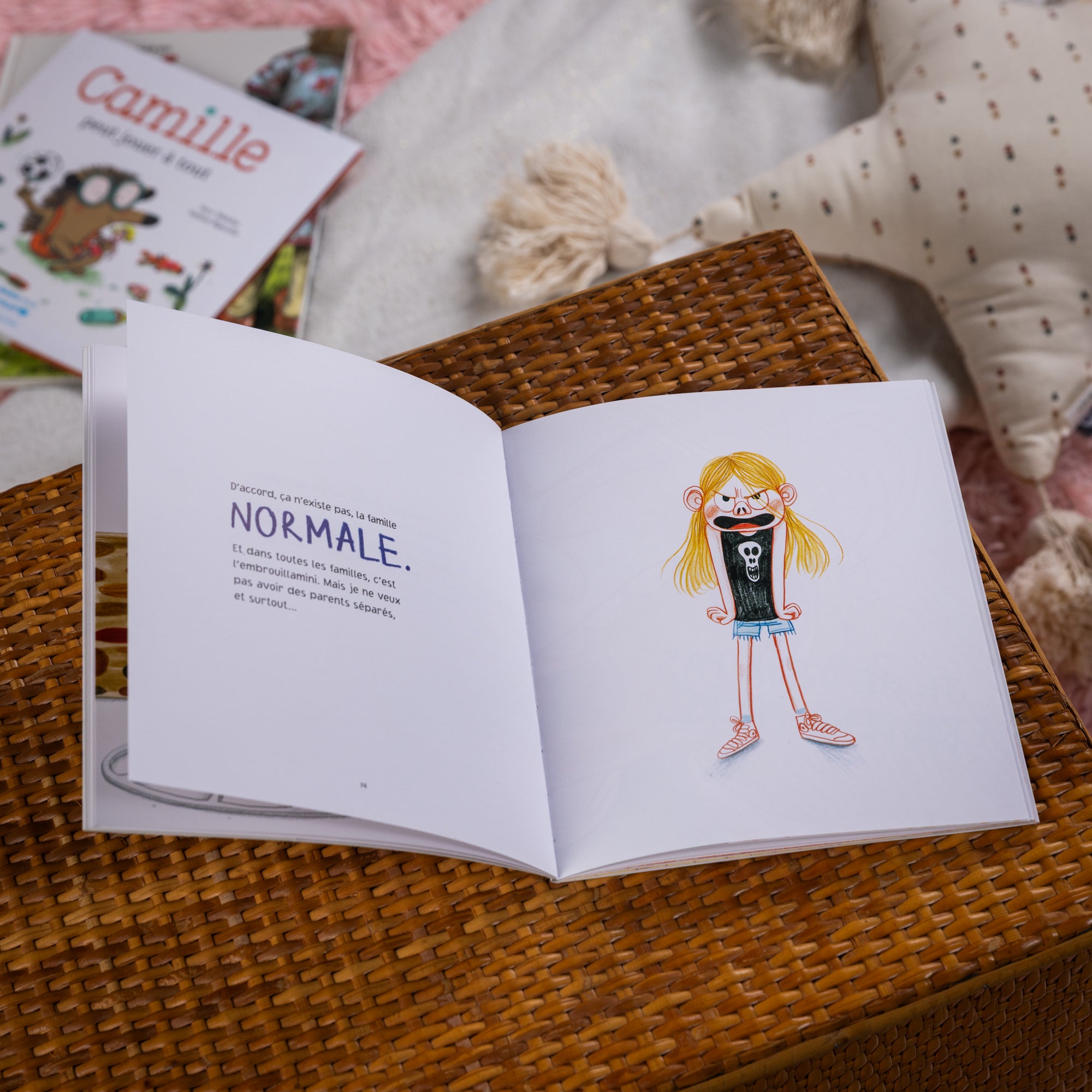 Livre pour enfant "Mon premier demi-frère"